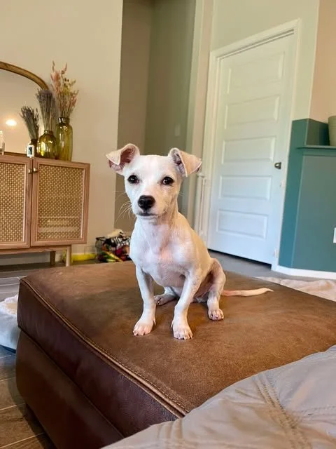 pebbles13.jpg