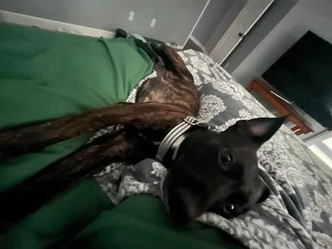 image.jpeg