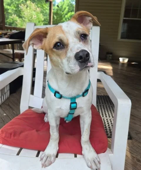 Meet Chex