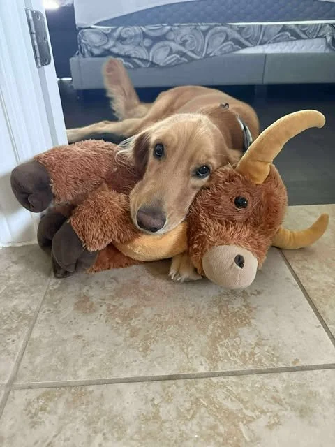 bella7.jpg