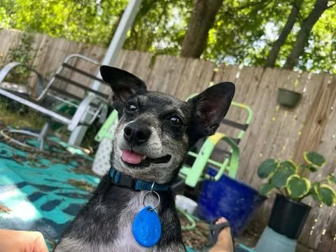 Meet Benito