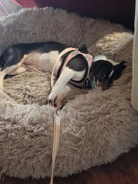 image.jpeg