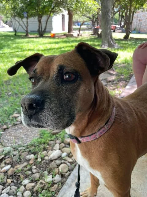 Meet Sabine