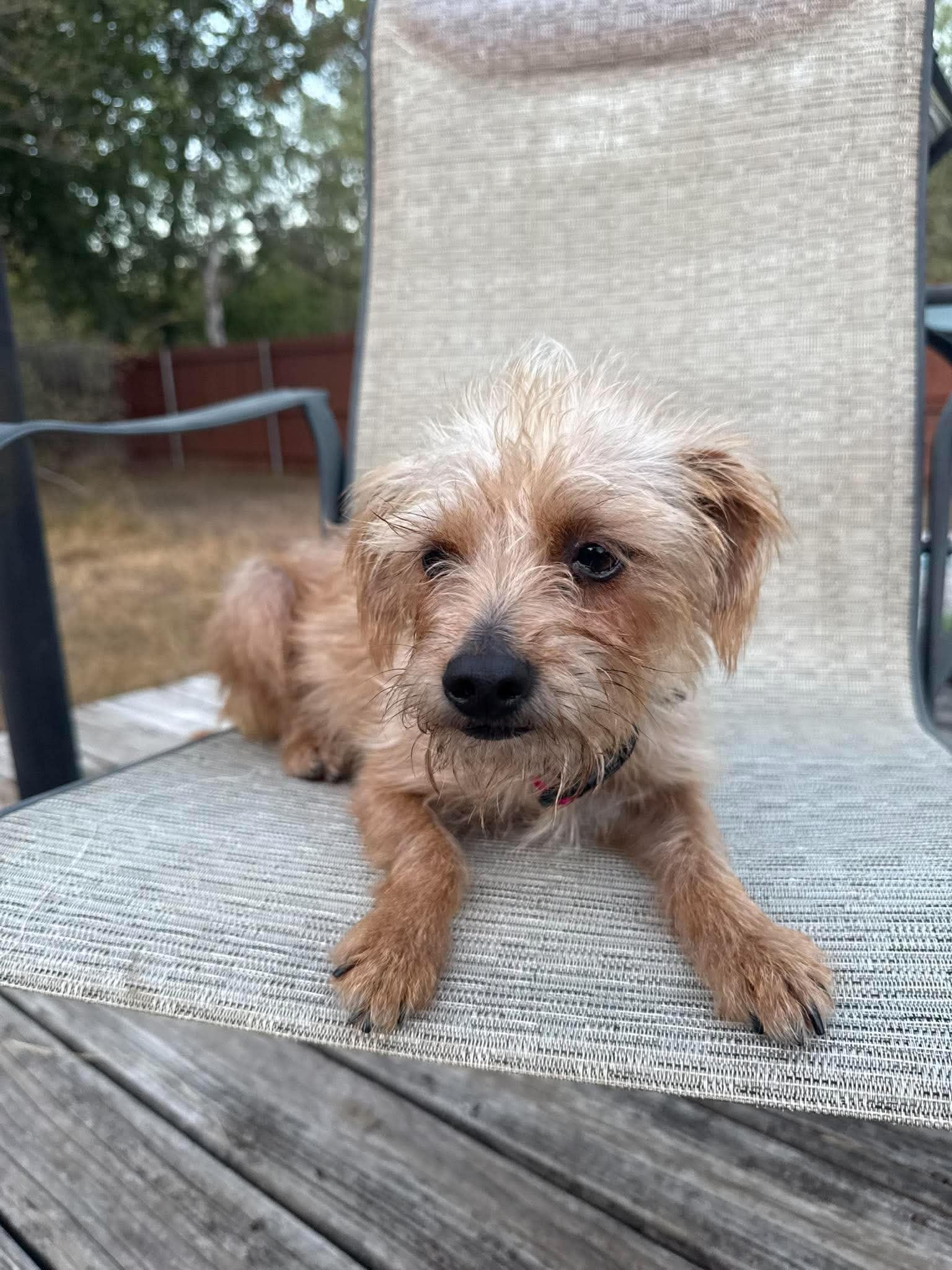 Meet Miley