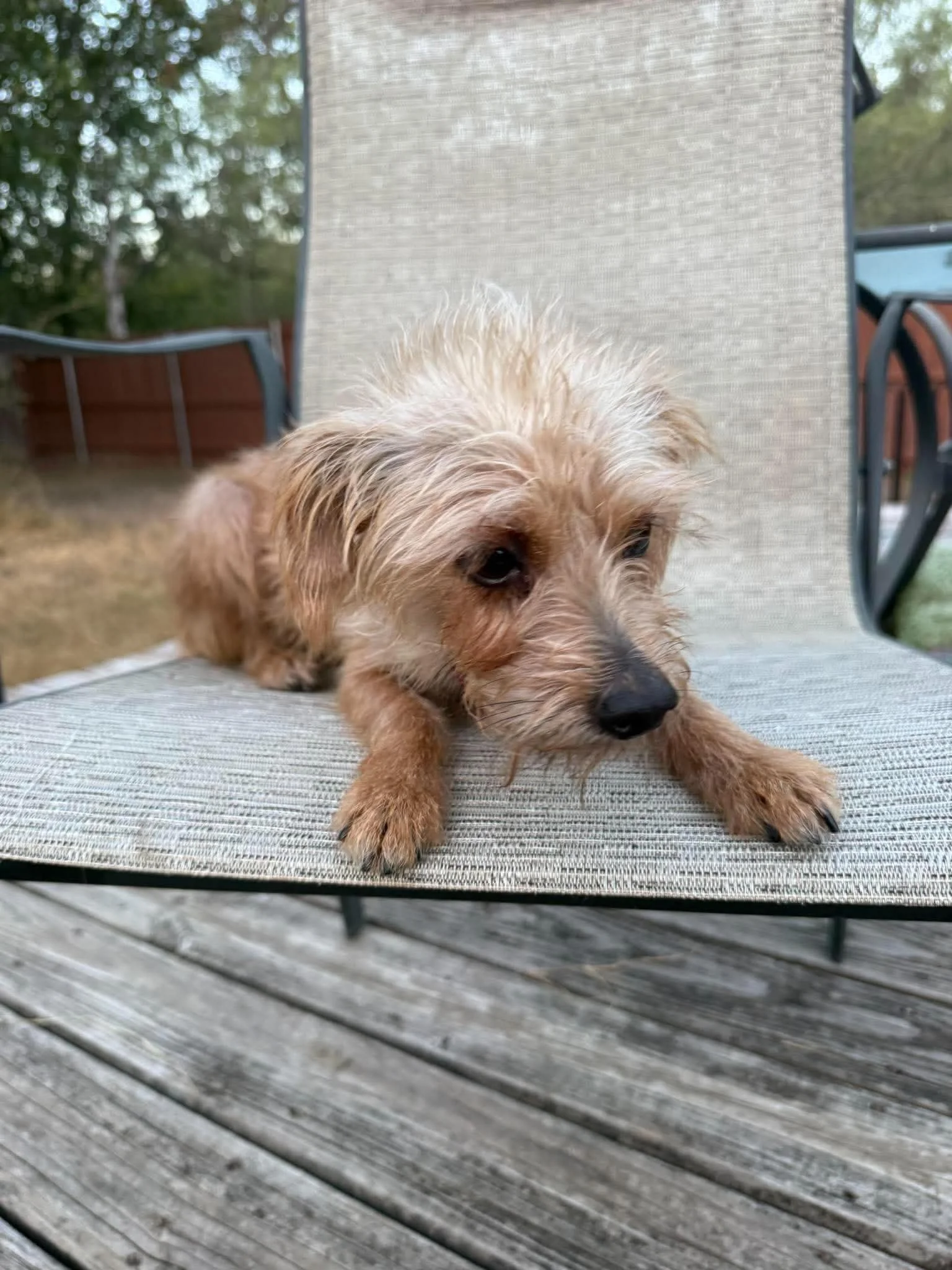 miley12.jpg