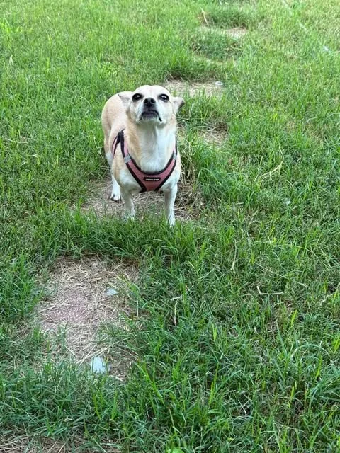 lucy4].jpg