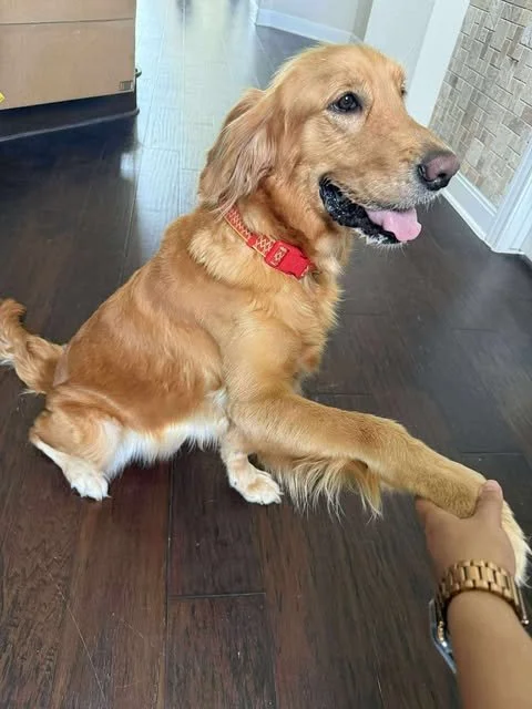 bella3.jpg