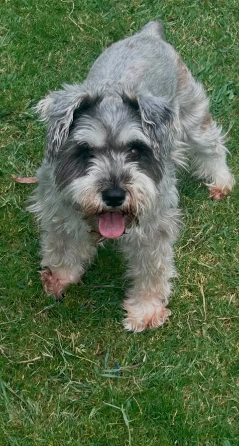 Meet Milly