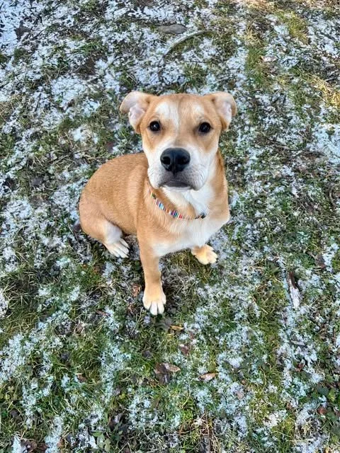 bella9.jpg