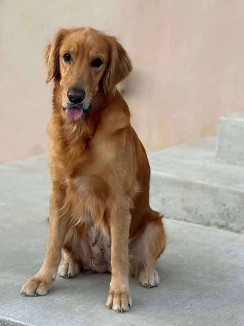 bella5.jpg
