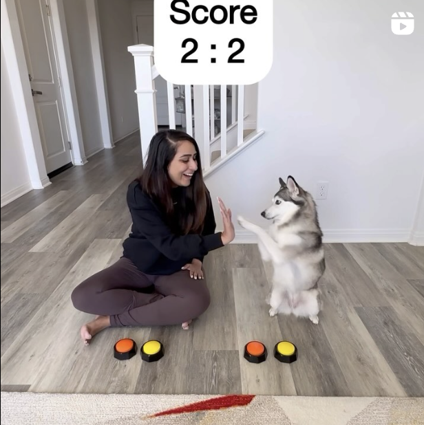 Screen Shot 2024-05-04 at 3.07.31 PM.png