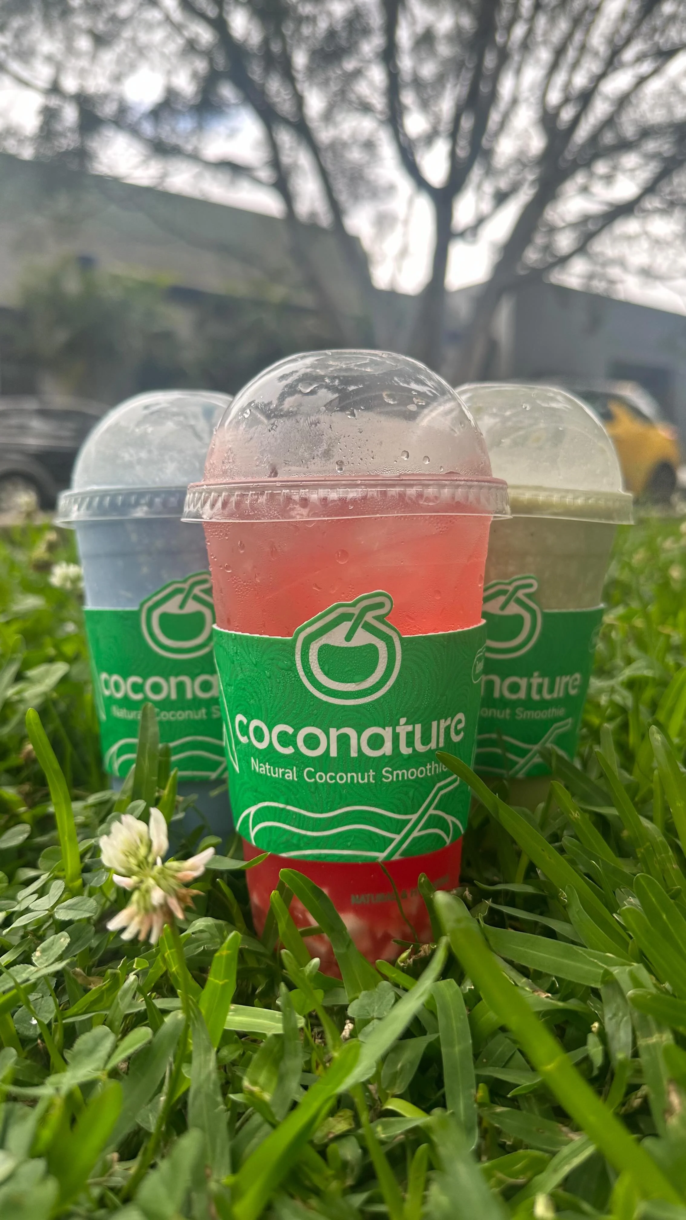 Coconature has something for everyone on every day 🥥😍🌴
Which drink will you get 🤔 Check our menu; find what peaks your coco-interest, and try it out! Let us know what you think 👇
📍Westfield Sydney (L1 Near Myer)
-
#coconature #coconature_au