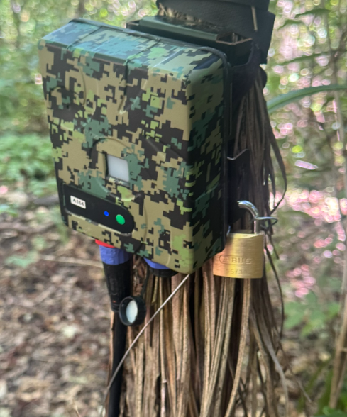 DOC AI Cam: Thermal camera and bird monitor