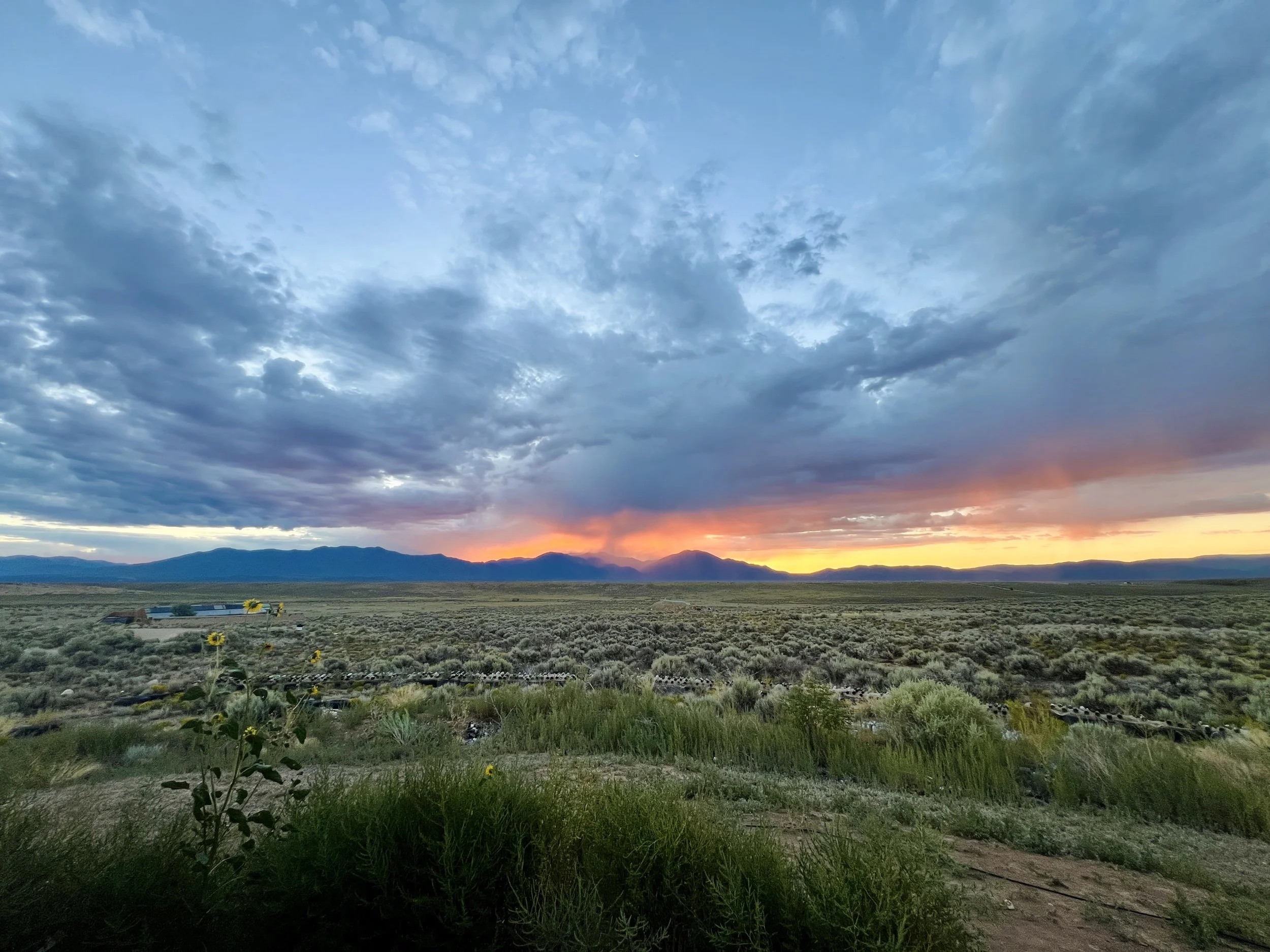 issue 17: Earth &amp; Sky