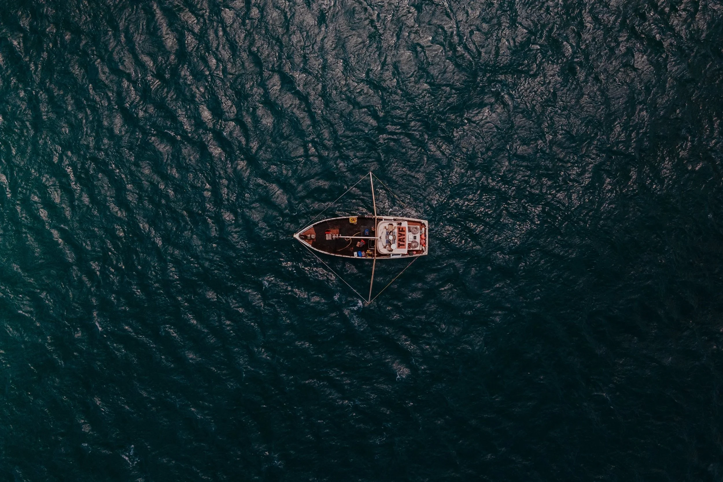 DJI_0440.jpg