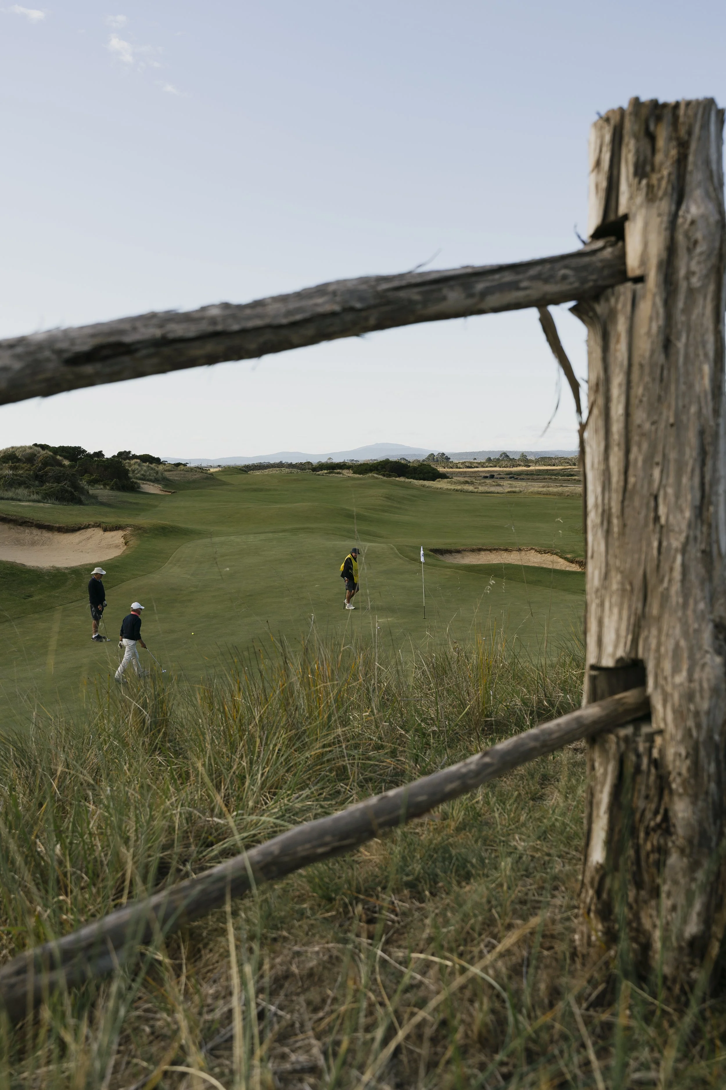 A view of a golf course with golfers playing, surrounded by grassy dunes and hills, seen through a weathered wooden fence.