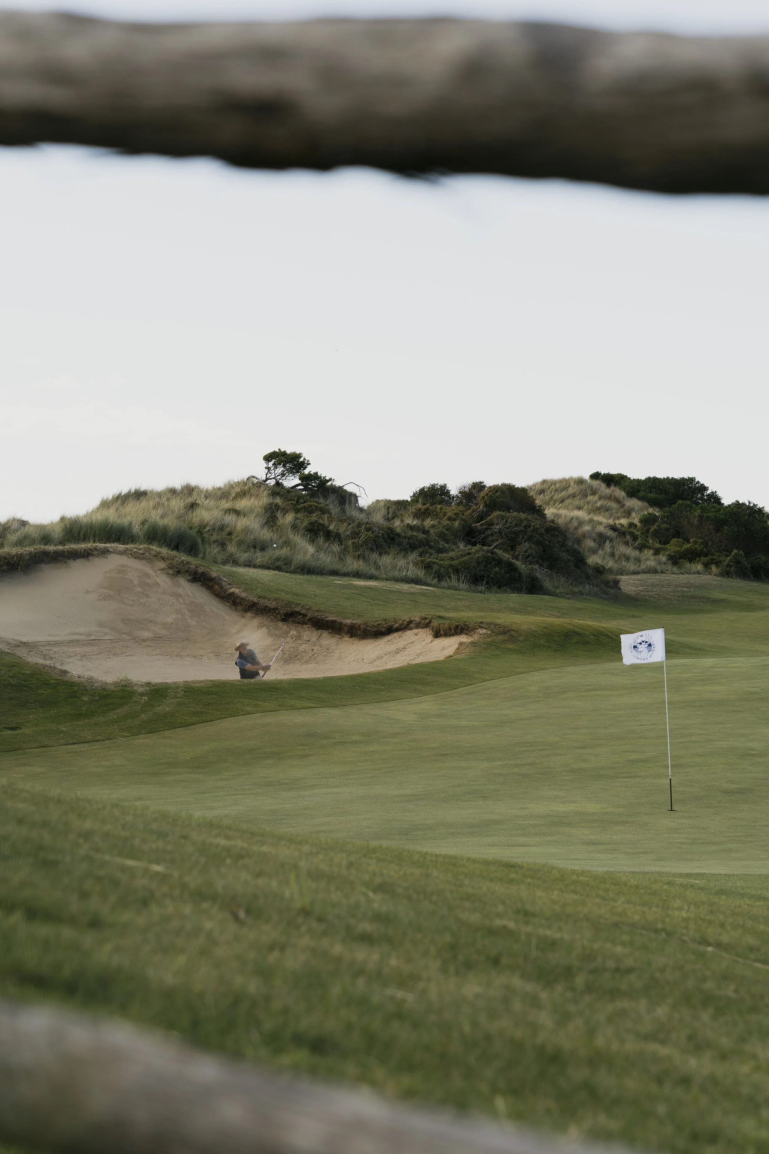 A golfer hitting a shot from a sand bunker on a golf course with green grass, a flag on the putting green, and grassy dunes in the background.