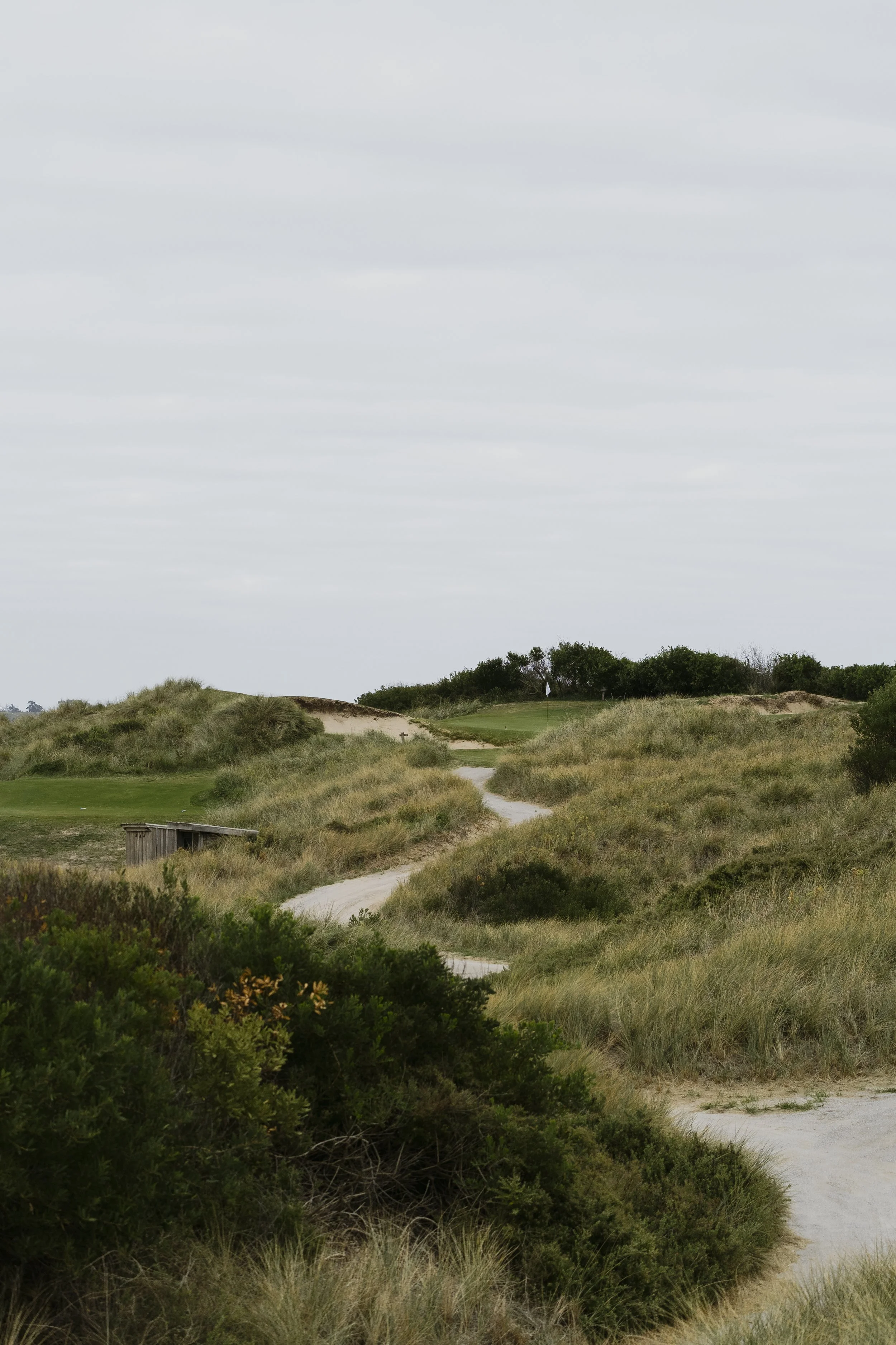 A sandy path winding through grassy dunes with bushes, leading towards a green golf course with a flag in the distance, under a cloudy sky.
