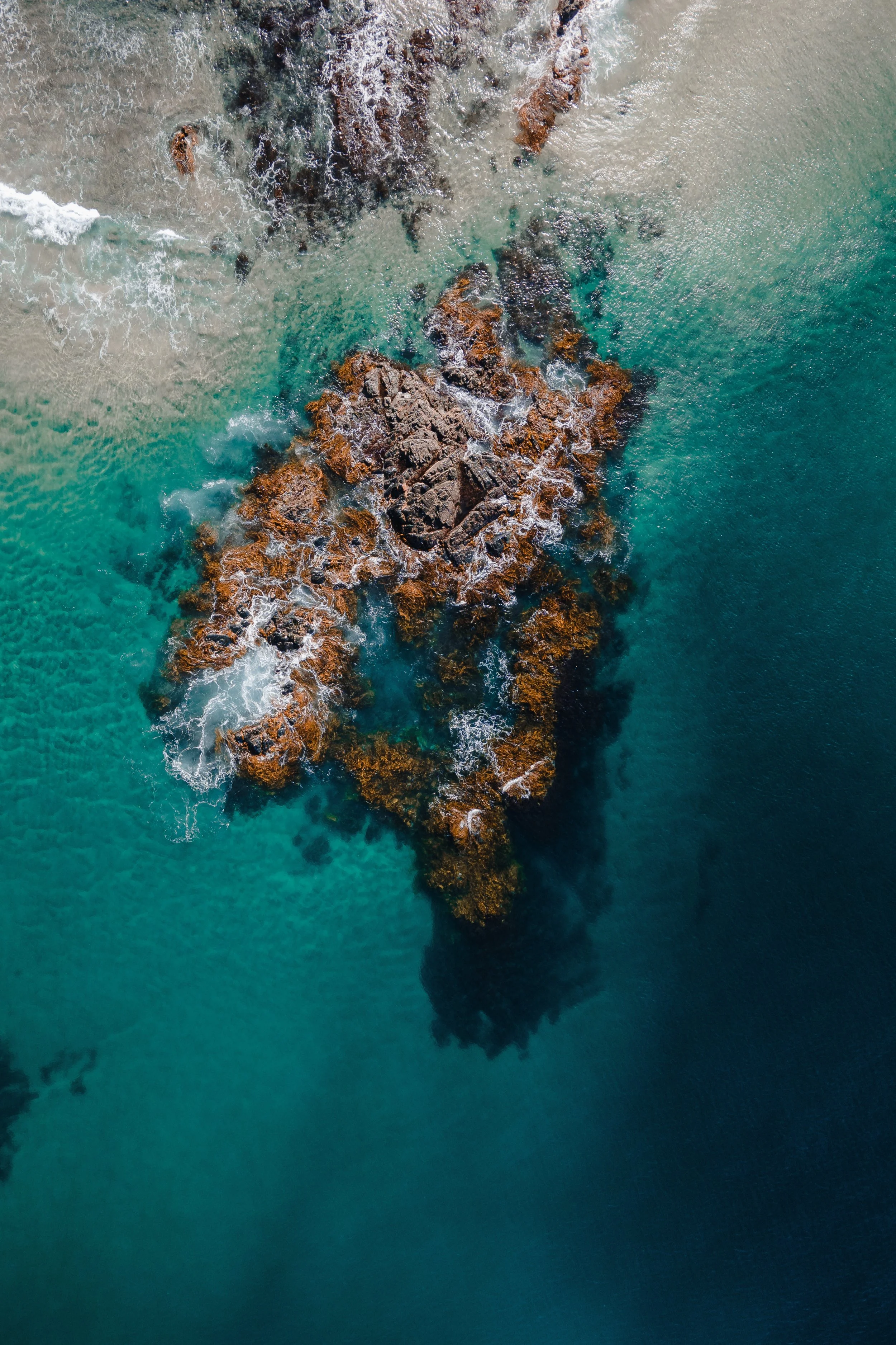 Rock Pool