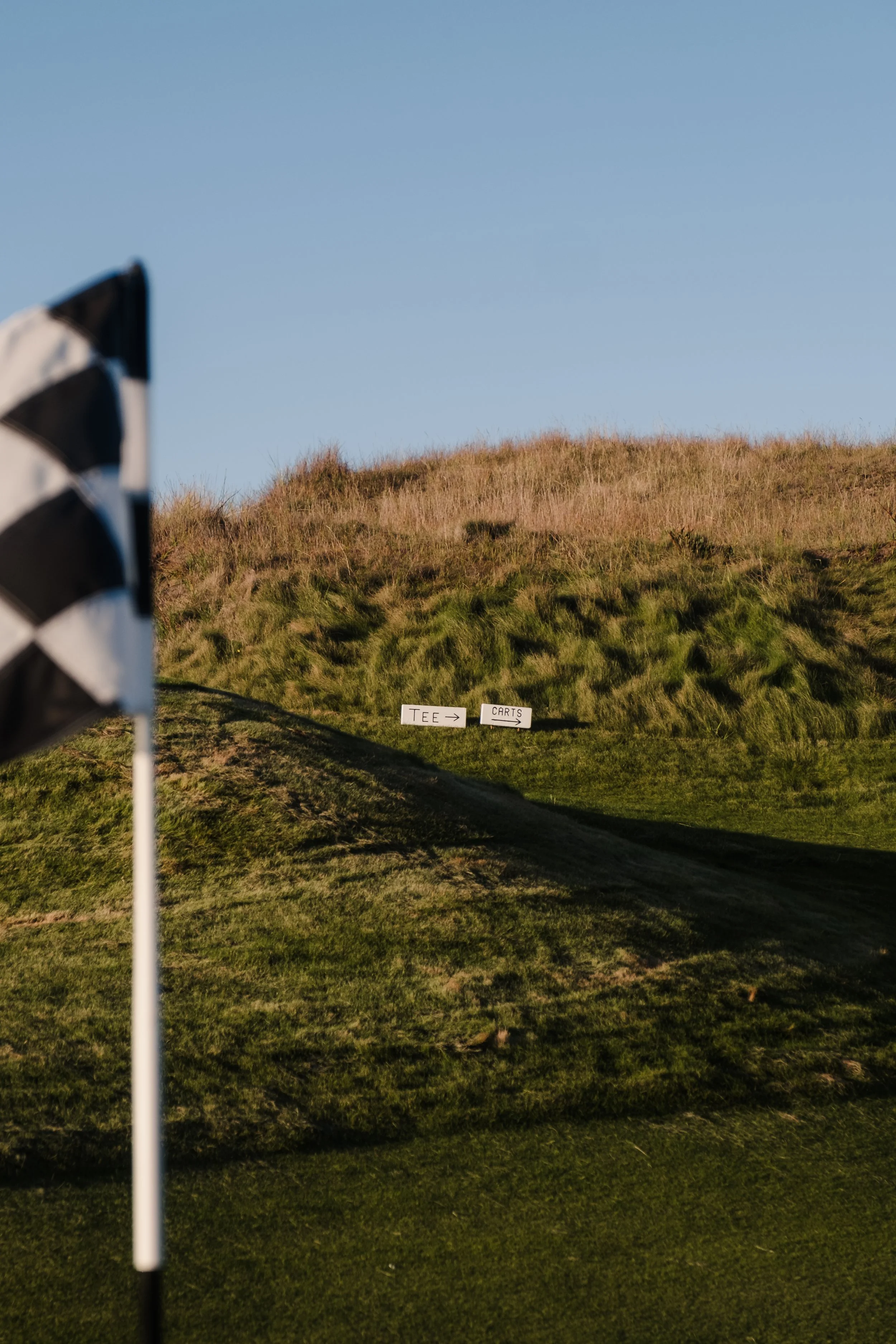 A golf course with a hill, two signs indicating the directions to the tee and carts, a checkered flag on a golf club, and a grassy area under a clear sky.