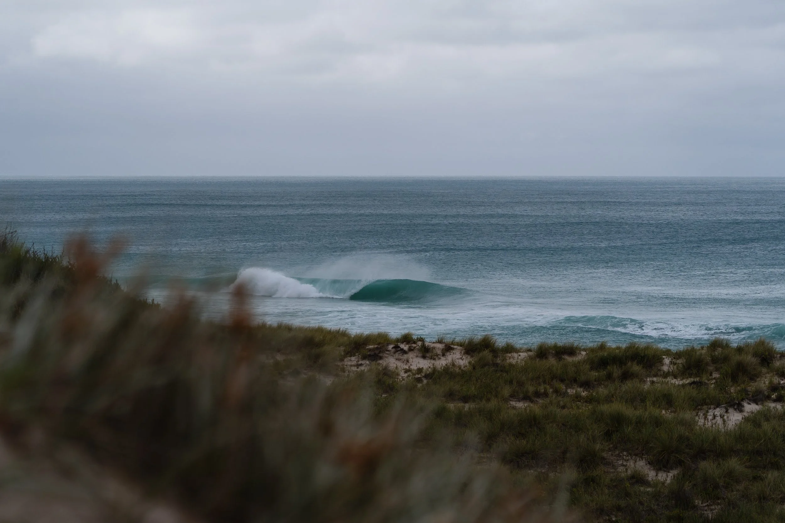 Overcast sky over ocean with waves breaking near shoreline and grassy dunes in foreground.