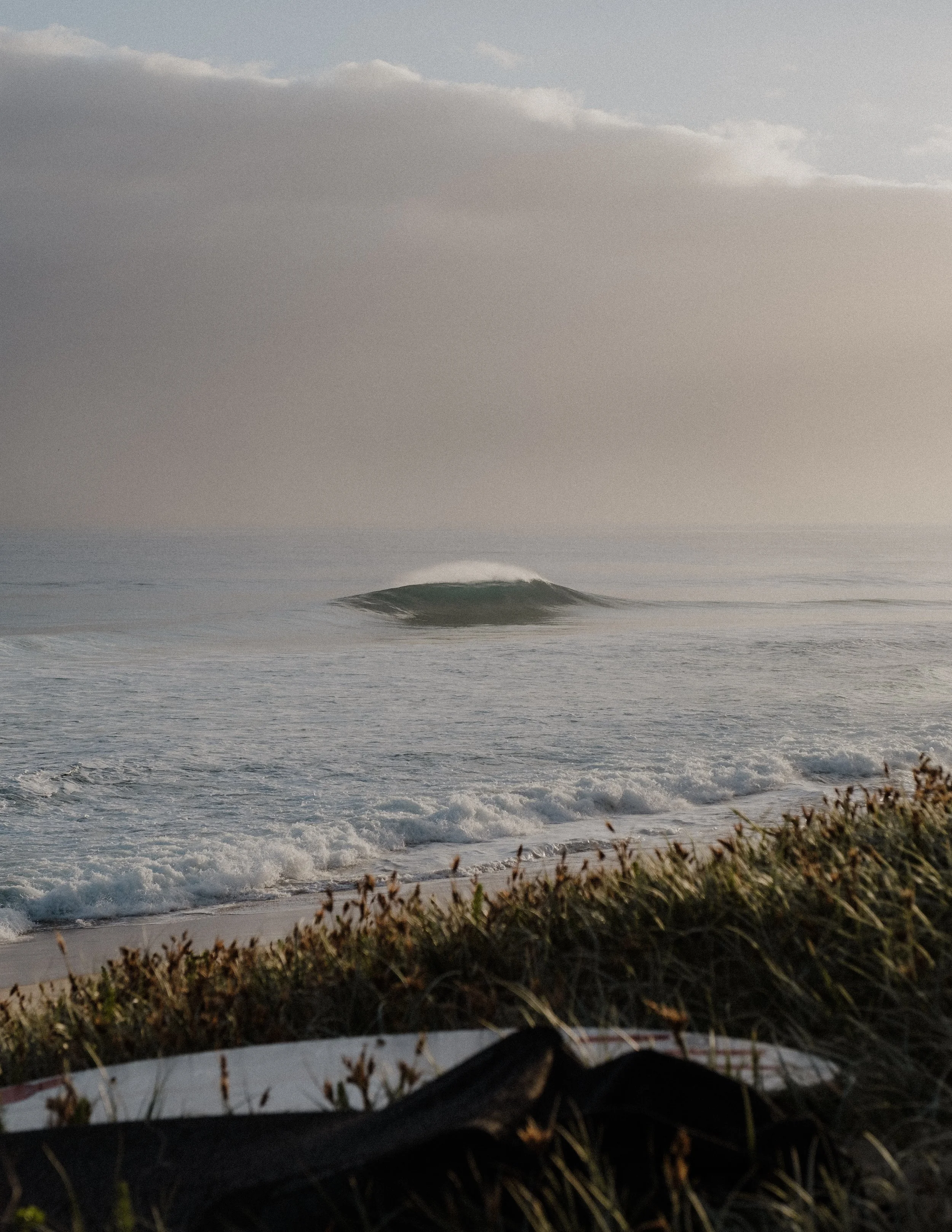 A beach scene at dusk with waves crashing on the shore, some vegetation in the foreground, and a cloudy sky above.