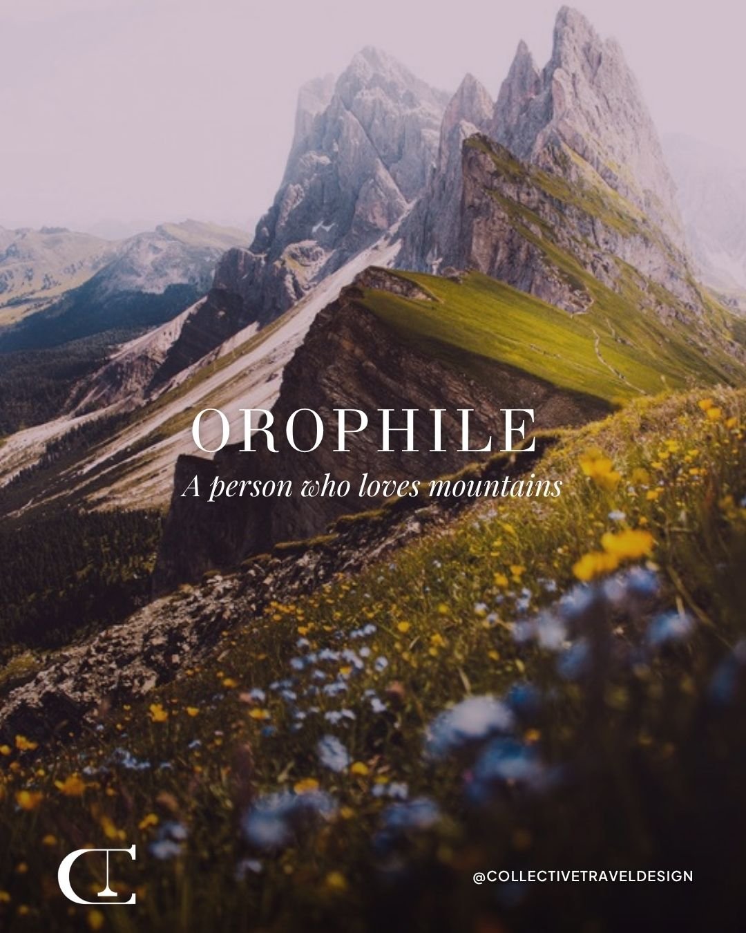 Chasing peaks and breathing in the beauty of the mountains &mdash; because some souls are just meant to rise. ⛰️✨

Which mountain adventure has taken your breath away?

#Orophile #MountainLover #Wanderlust #HighOnLife #MountainVibes #AdventureAwaits 