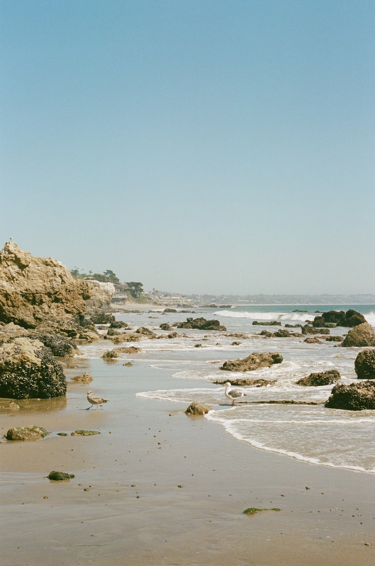 IMG_8929.JPG