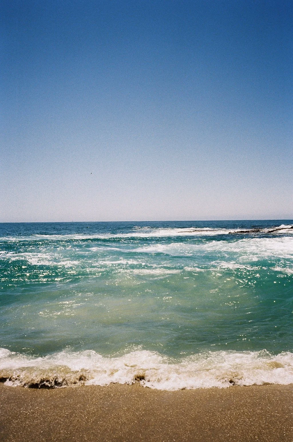 864559_011.JPG