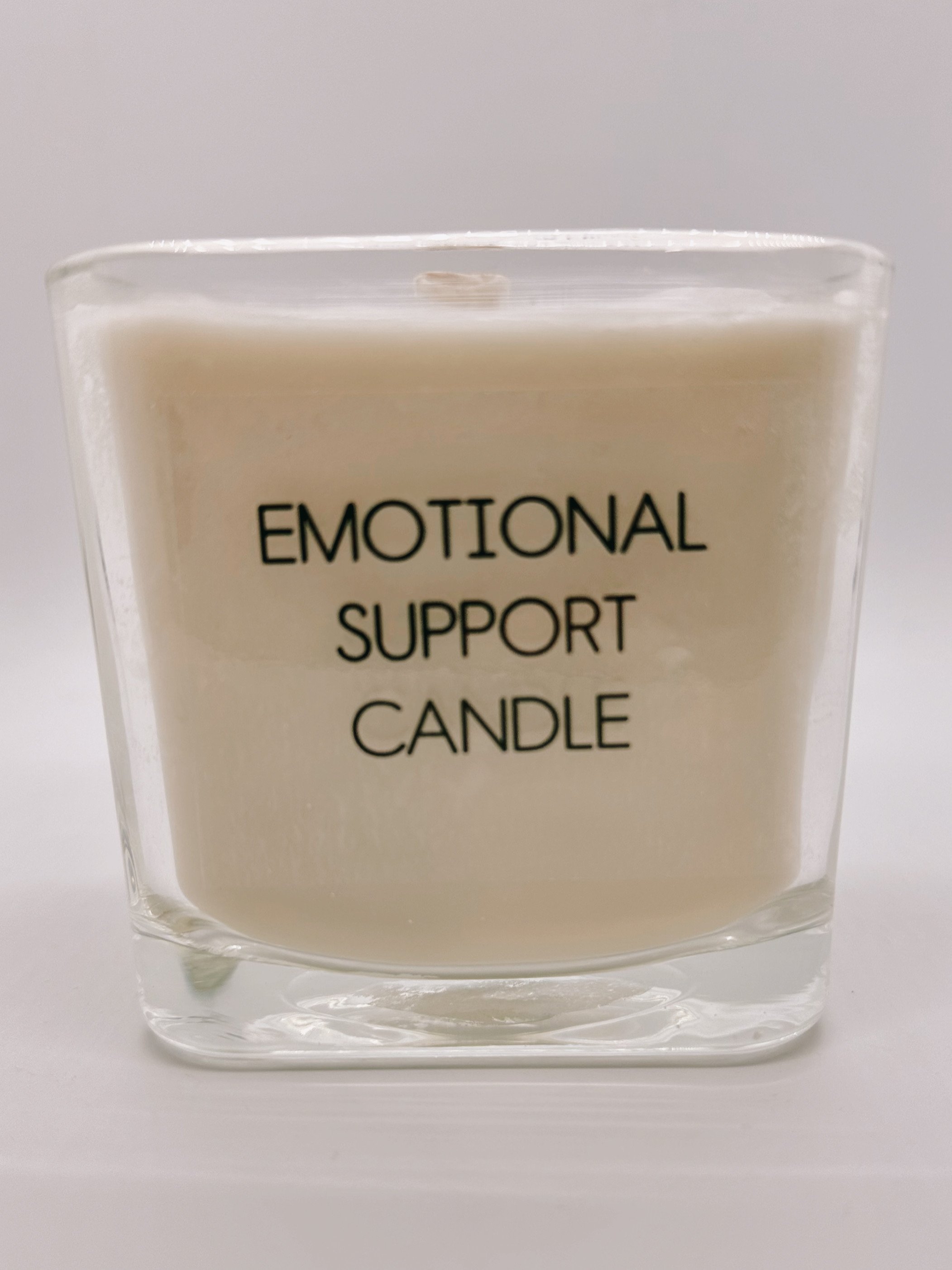 Emotional Support