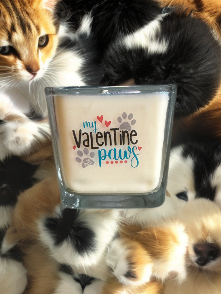 My Valentine's Paws