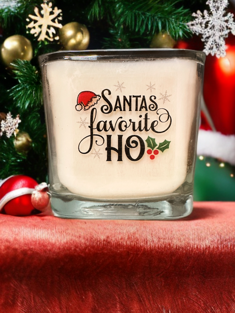 Santa's Favorite