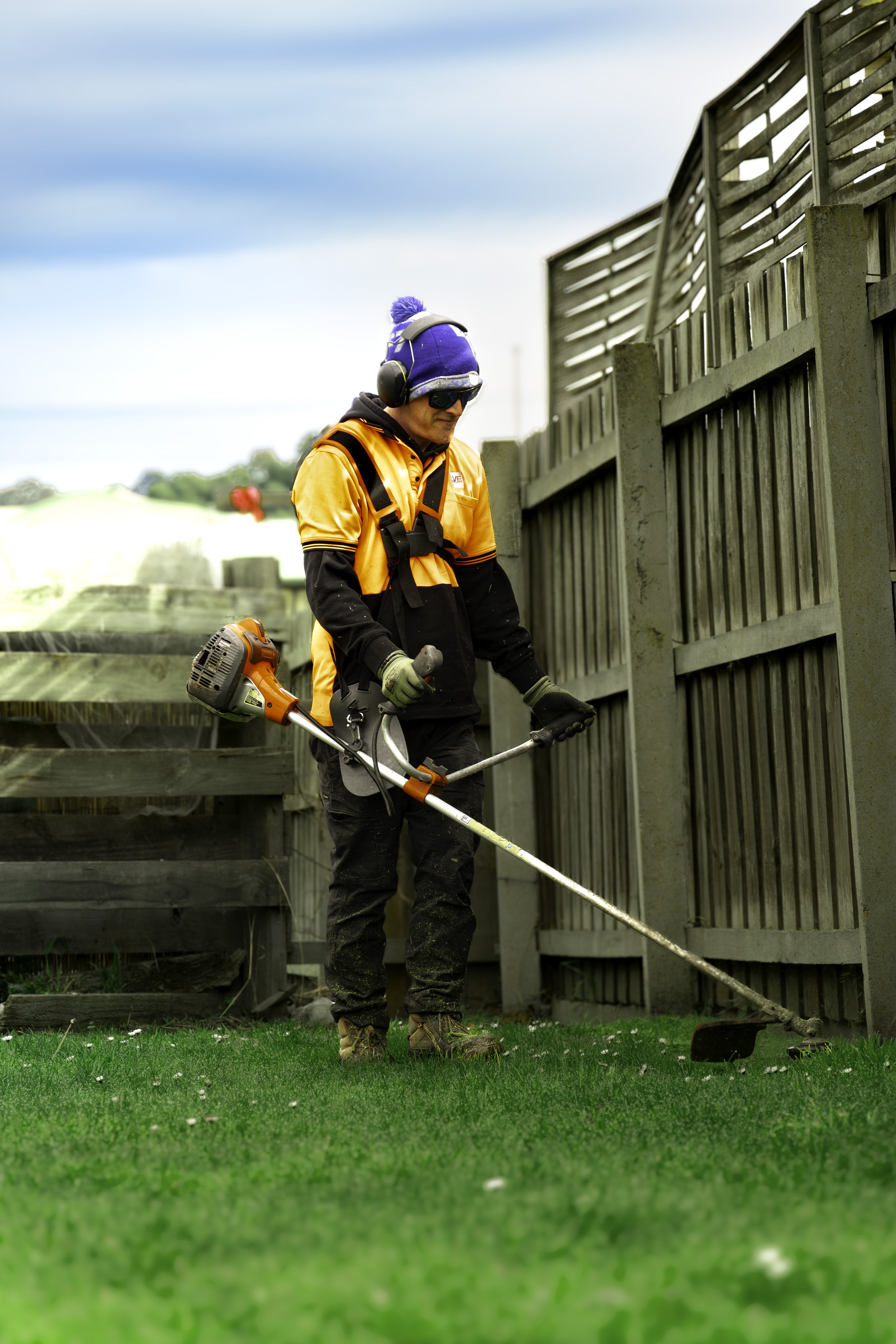 Waggs.jpg