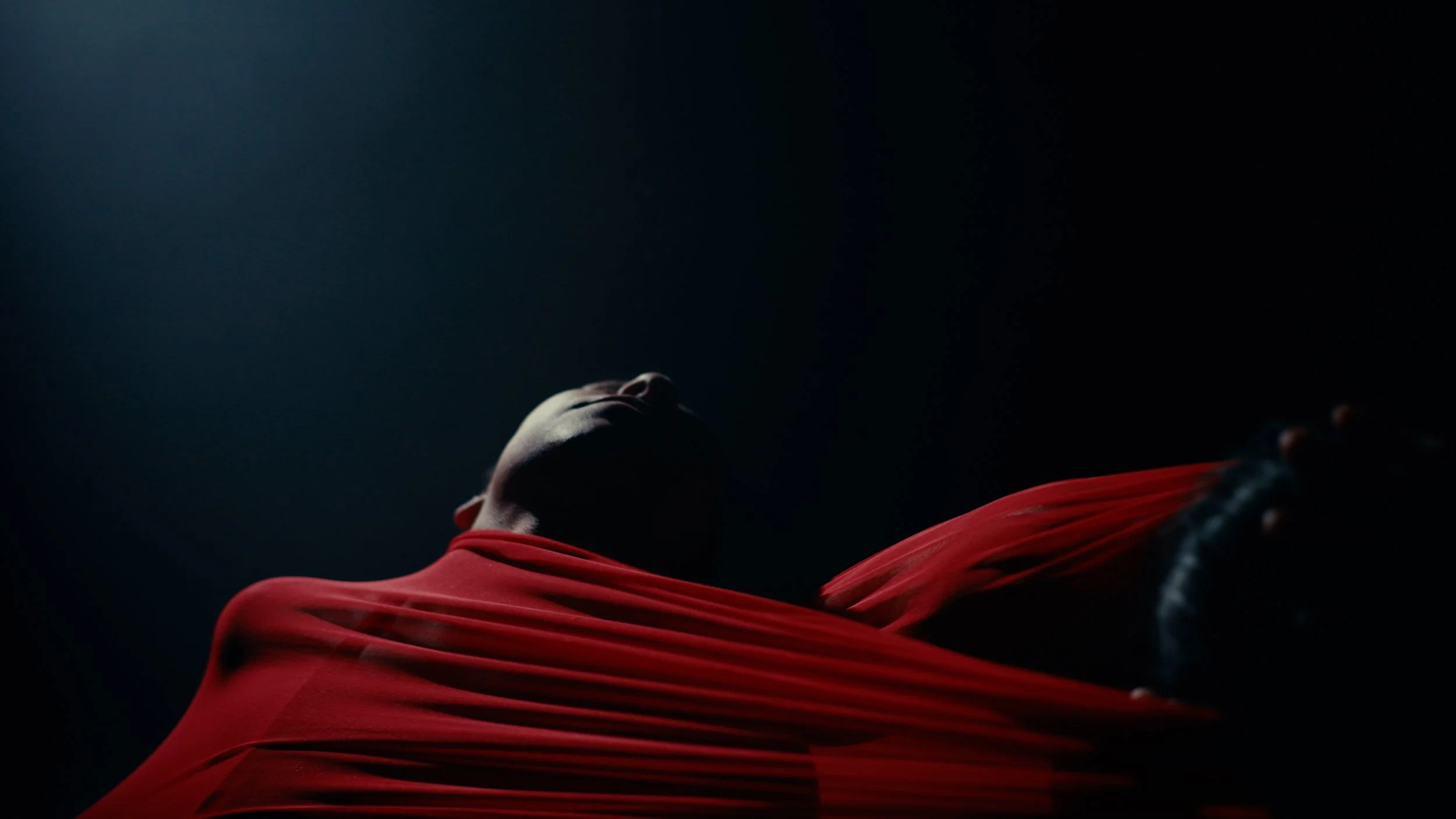 Butterfly_Video Still_015.jpg