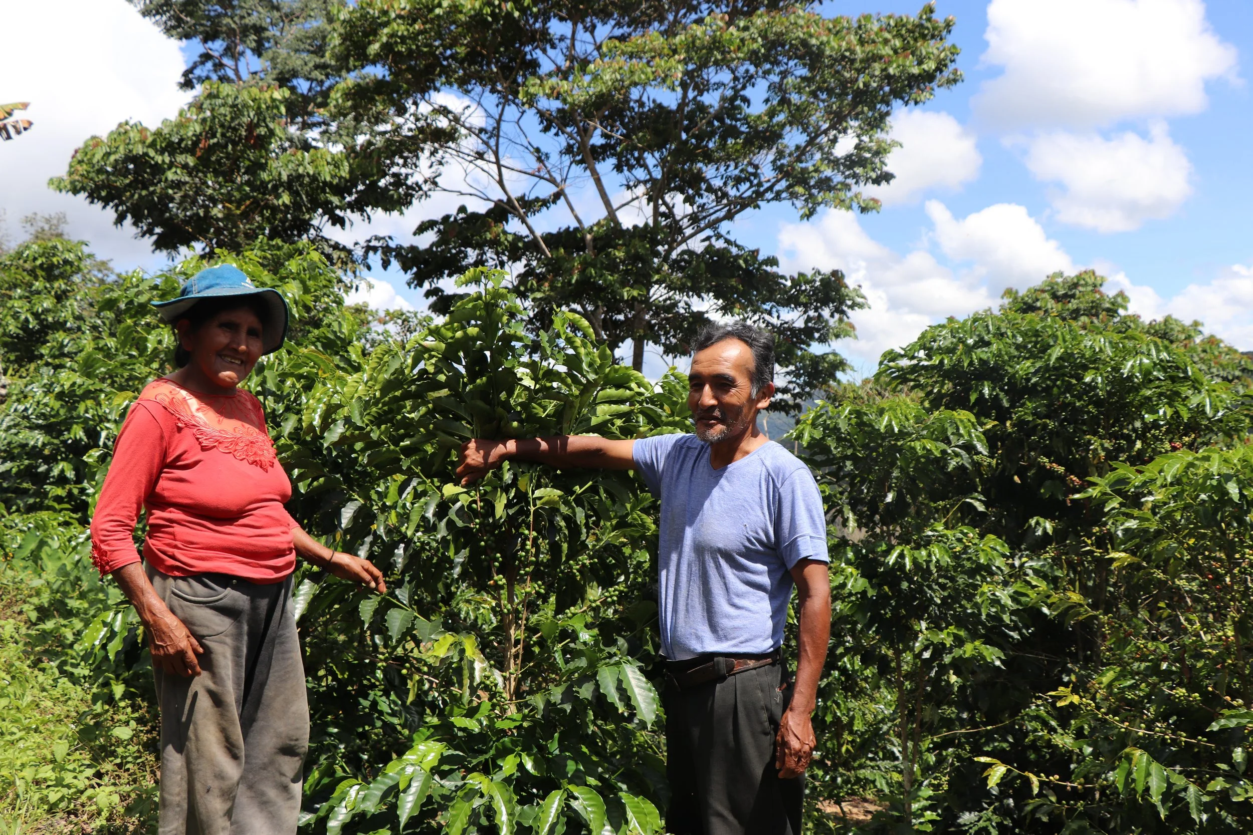 Bio-Arcoíris Photos - 6.JPG