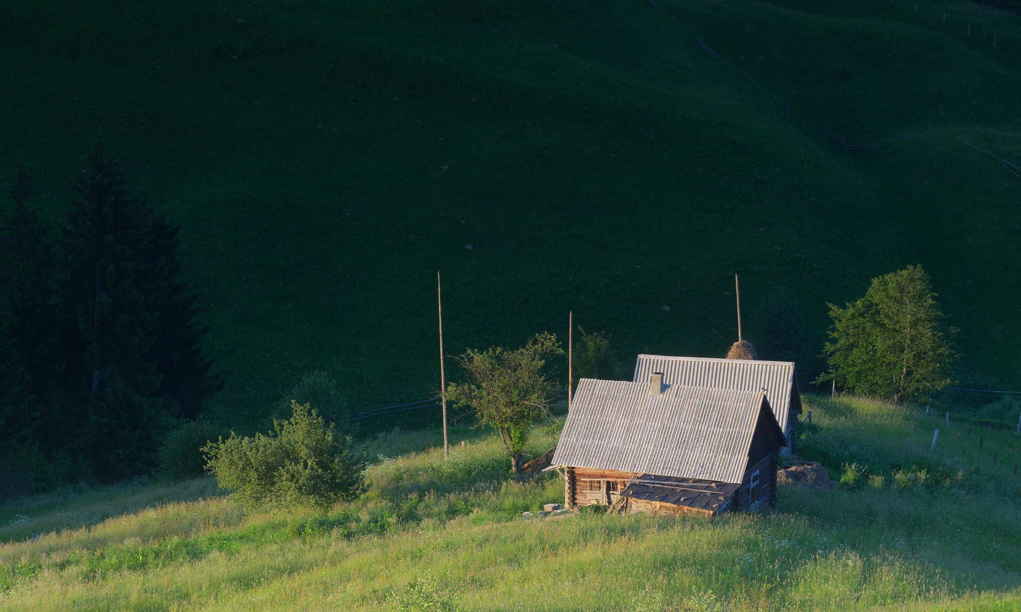Navigating Separation While Living Under the Same Roof