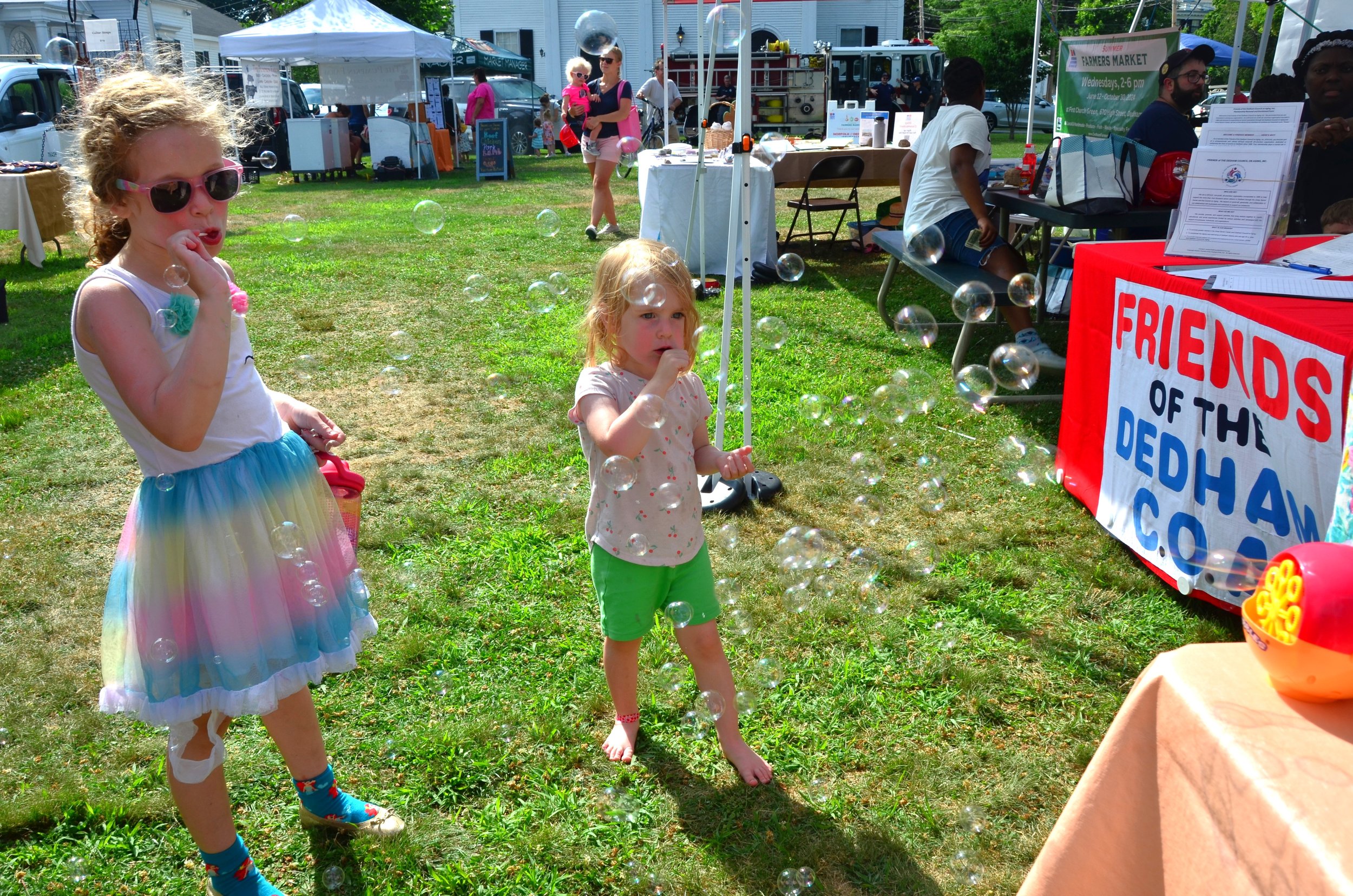 Summer Dedham Farmers Market—Kids Day