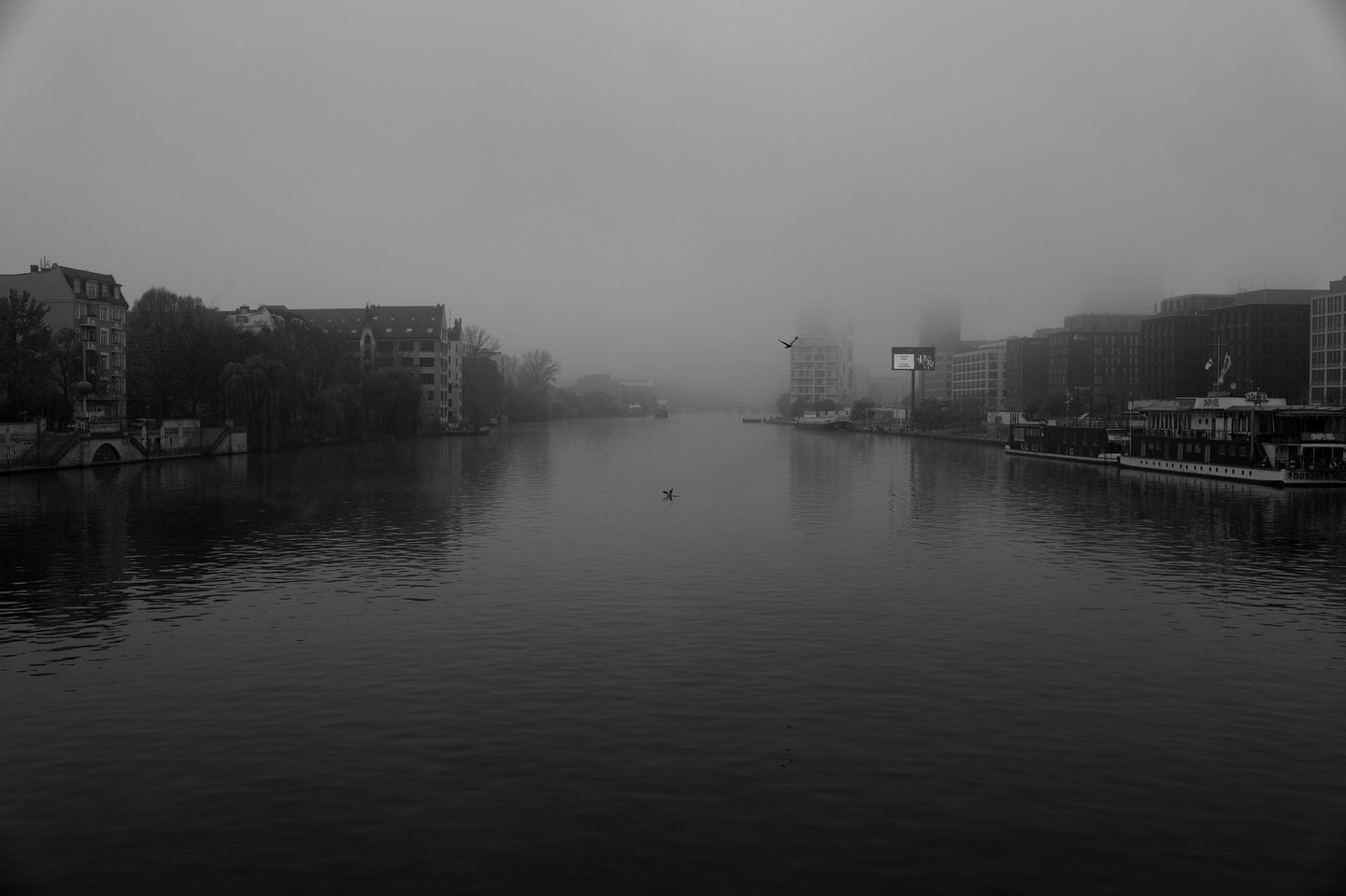 Enjoy “bad” weather ❄️
I’ve just returned to Australia from Germany, and one thing that I noticed was how everyone kept talking about how bad the weather was. Personally, I found the morning fogs eerily beautiful, creating an aura