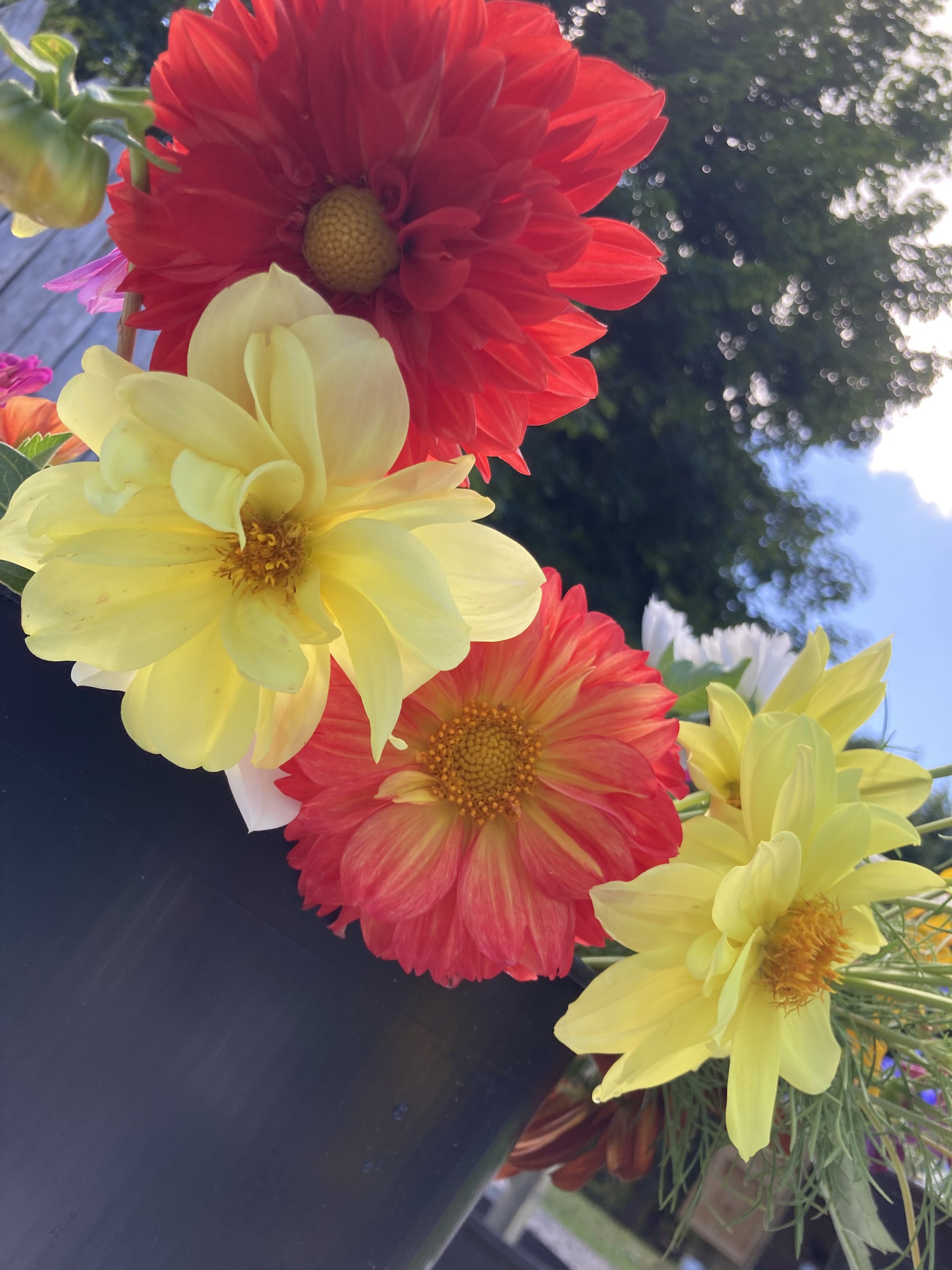 IMG_0397.jpeg