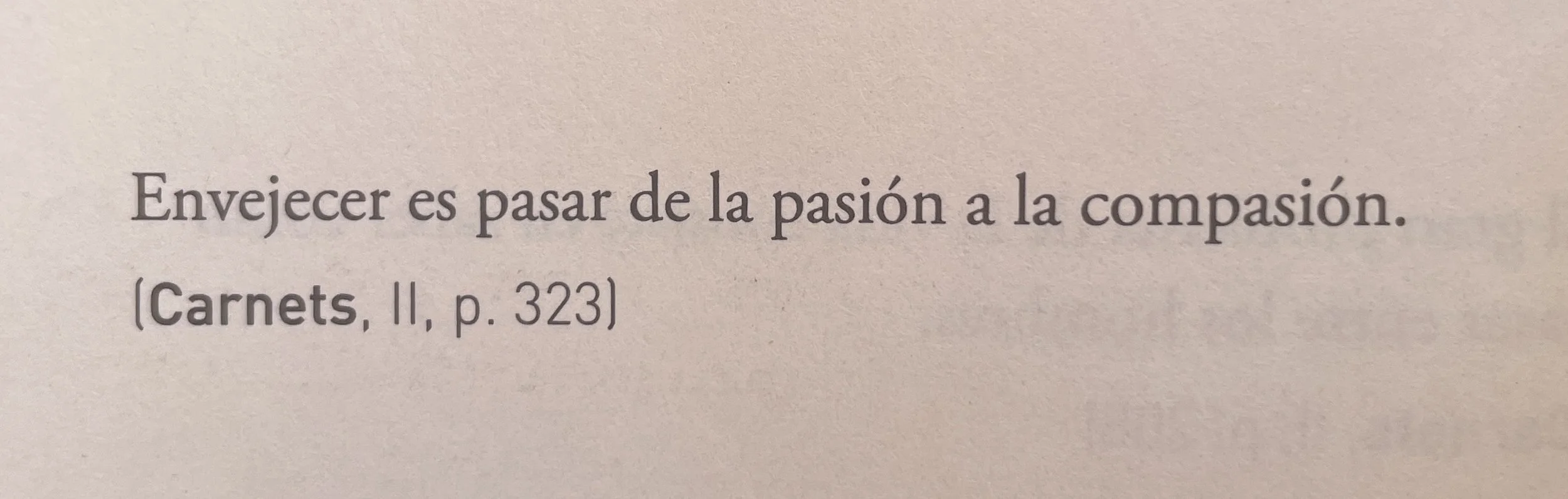 Albert Camus-2.jpg