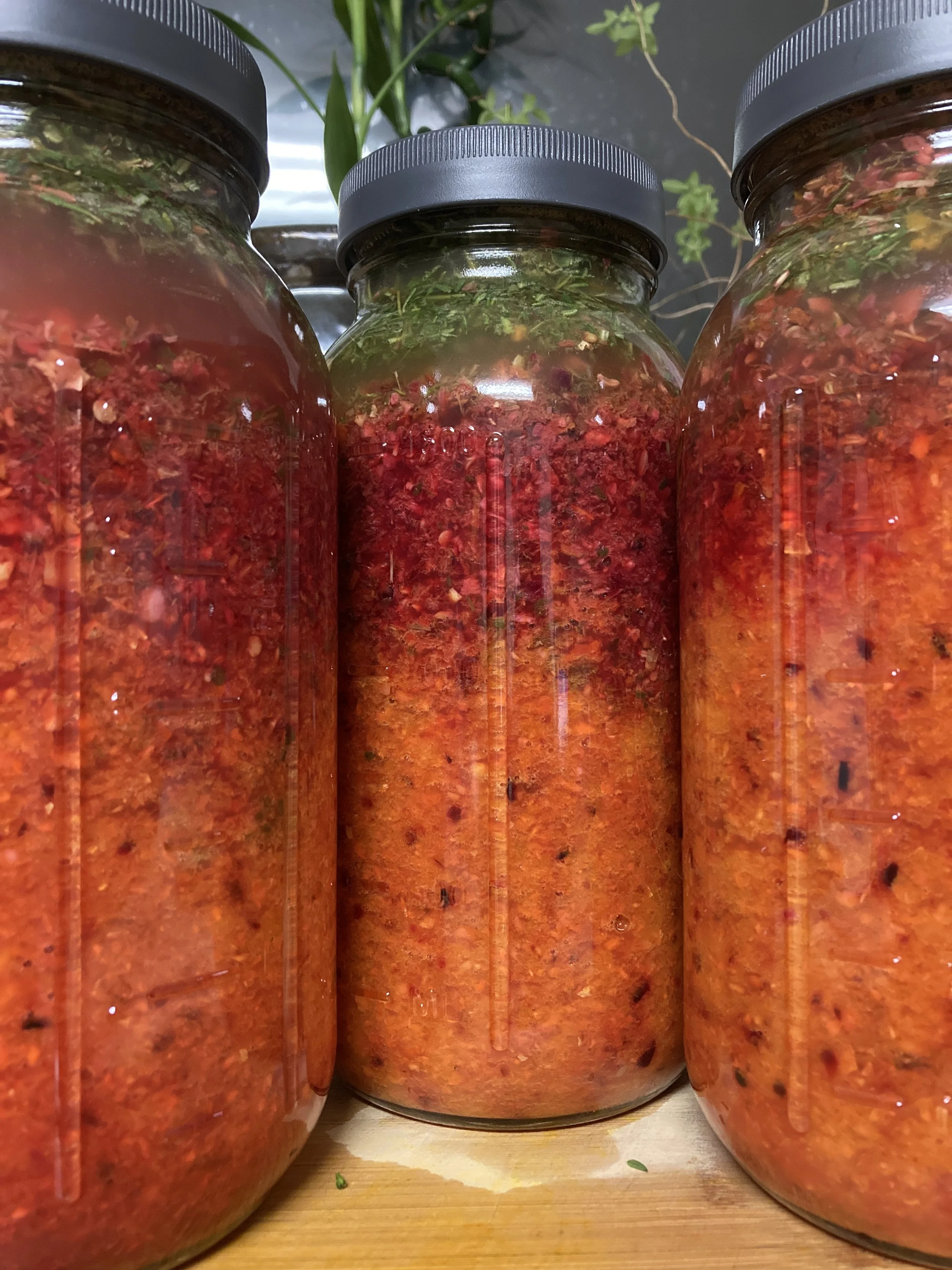 Oxymels & Fire Cider