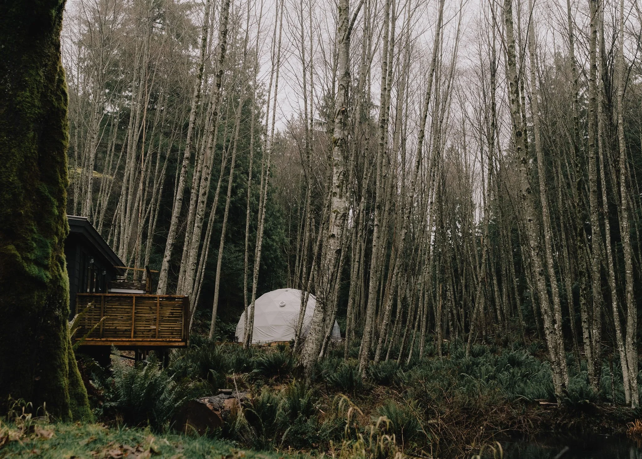 yoga retreat nature photo