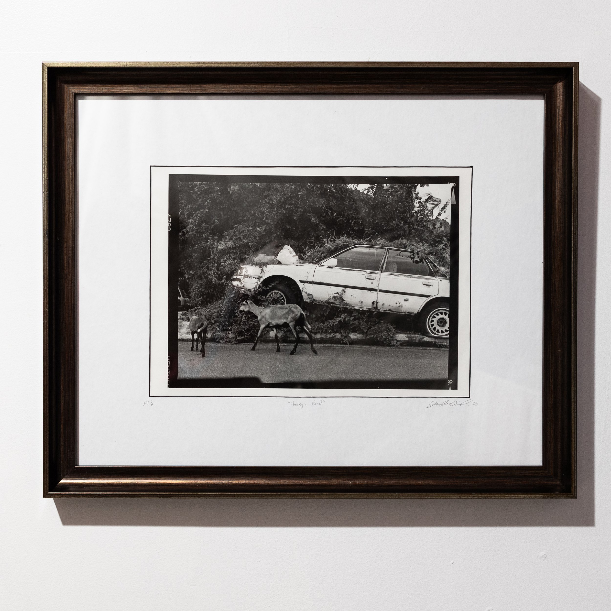 Hanley's Road Framed Print