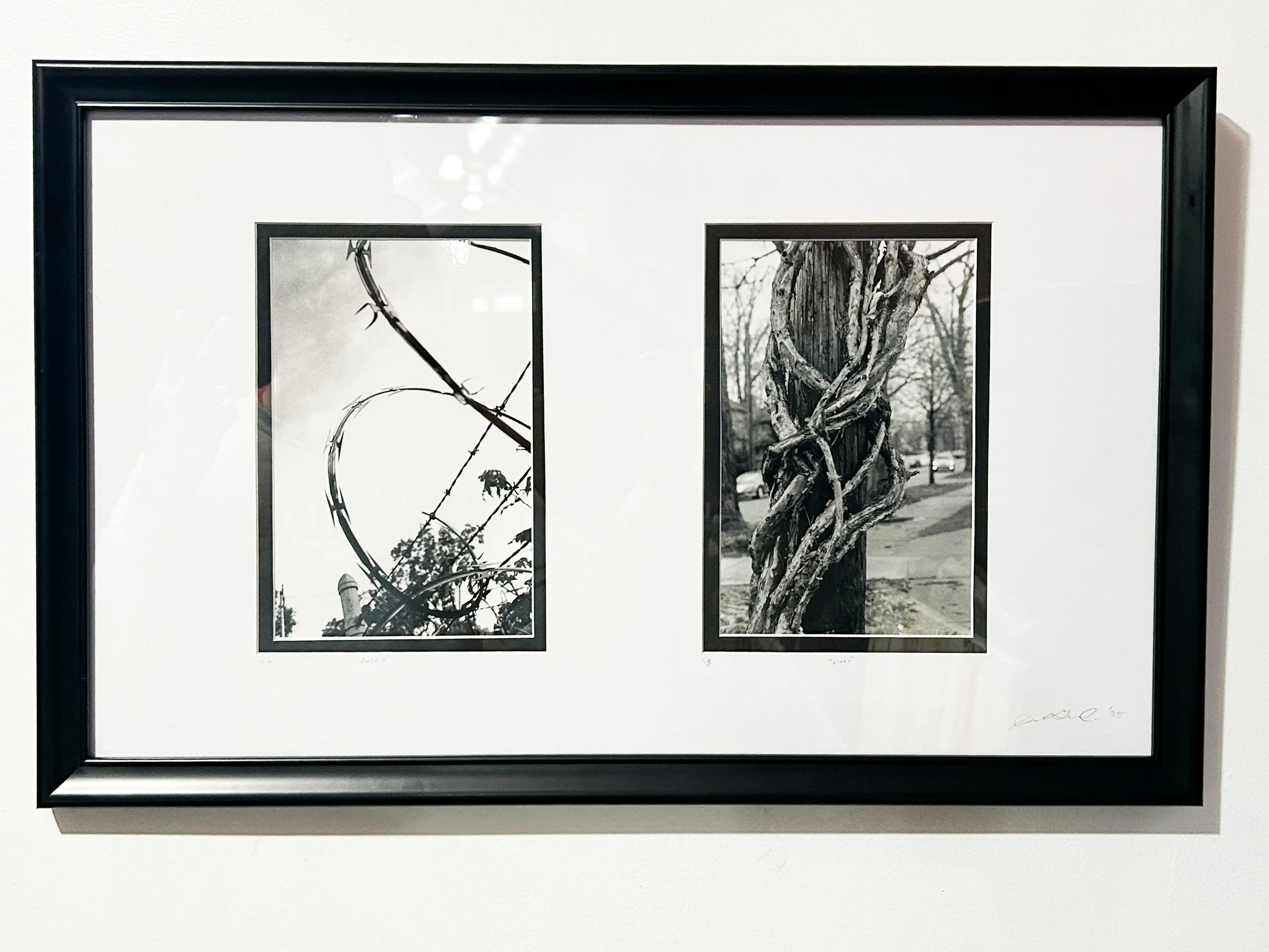 Razors and Vines, Framed