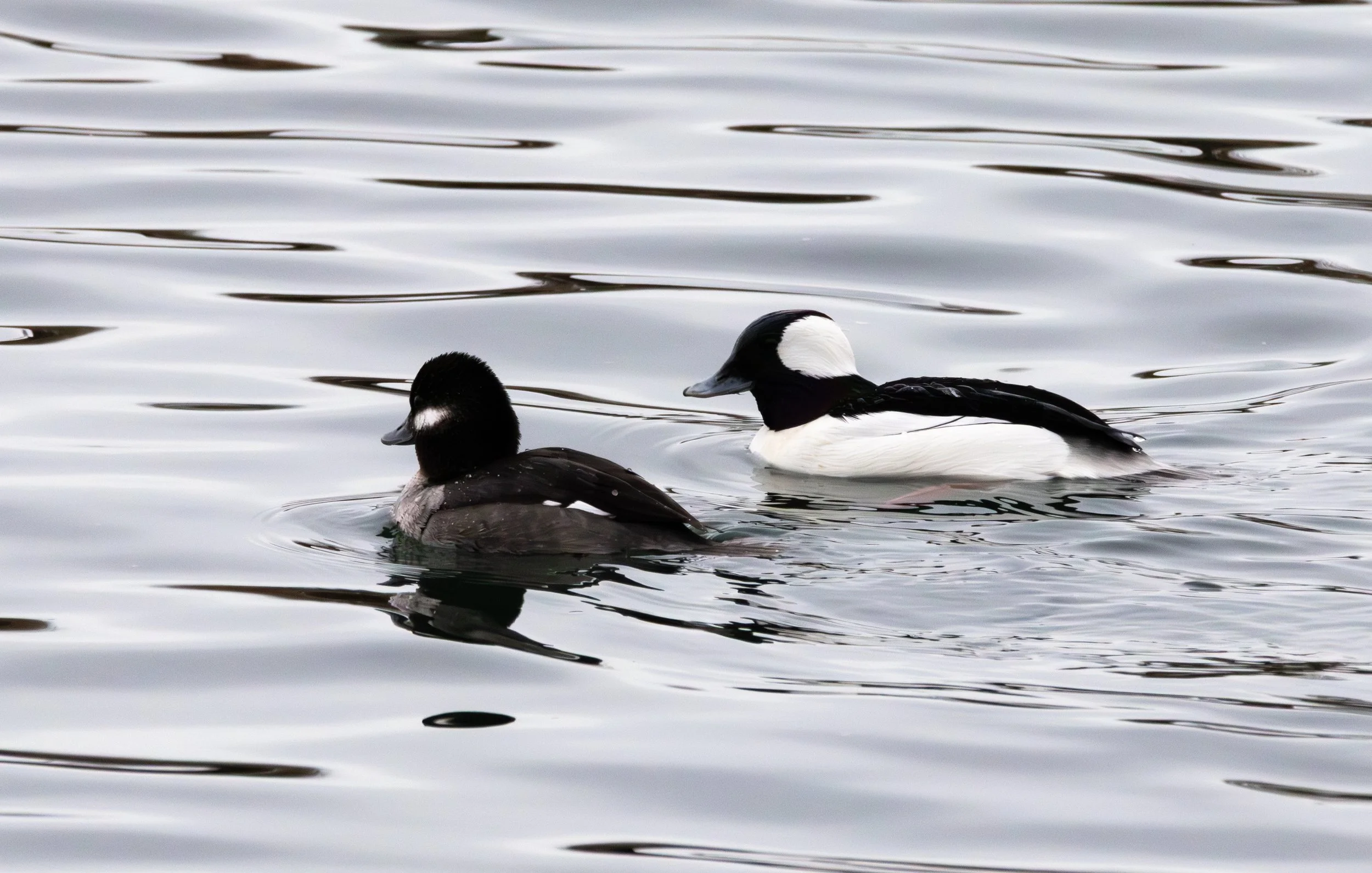 A Quiet Day at Carburn