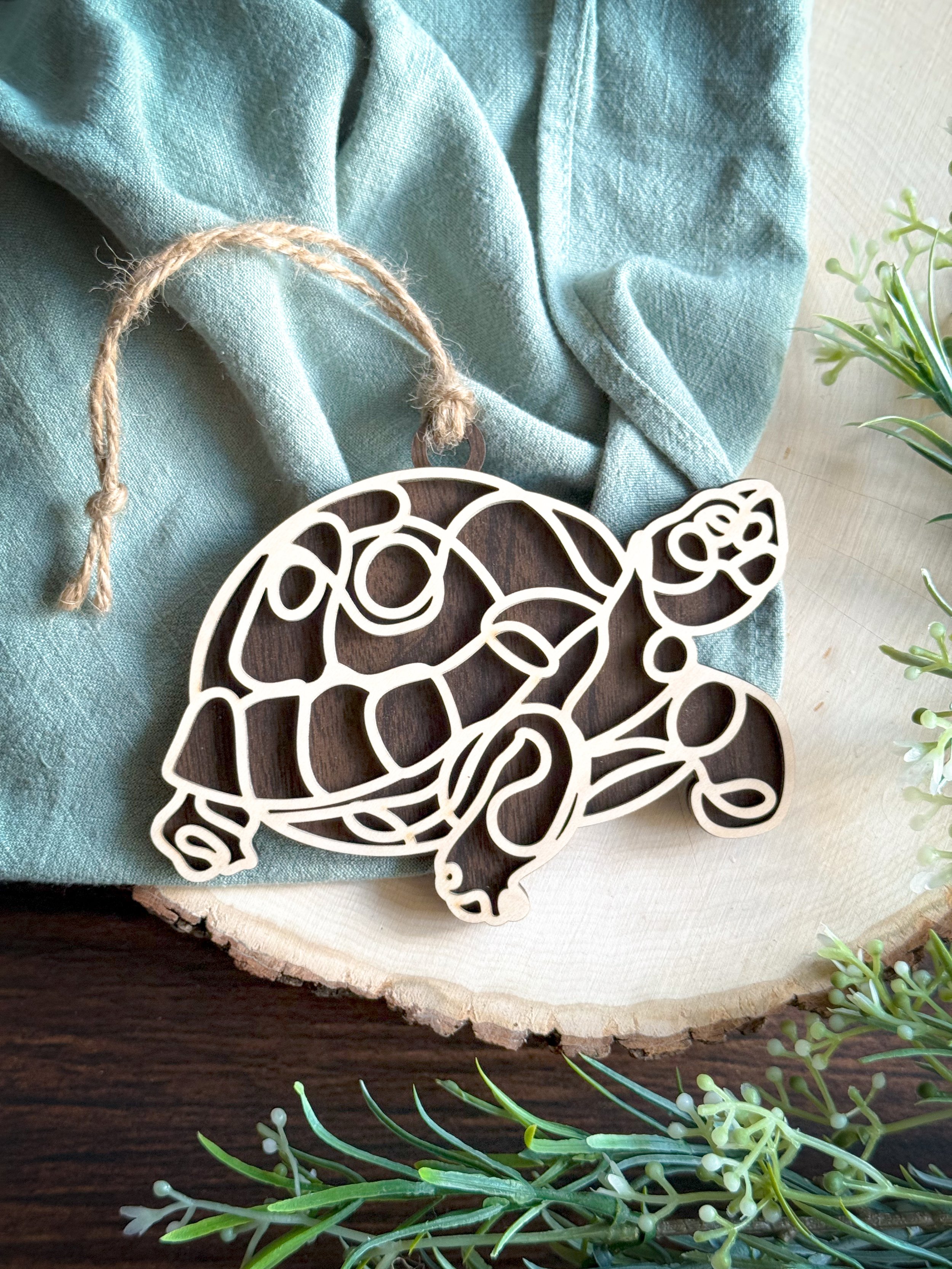 Turtle.jpg
