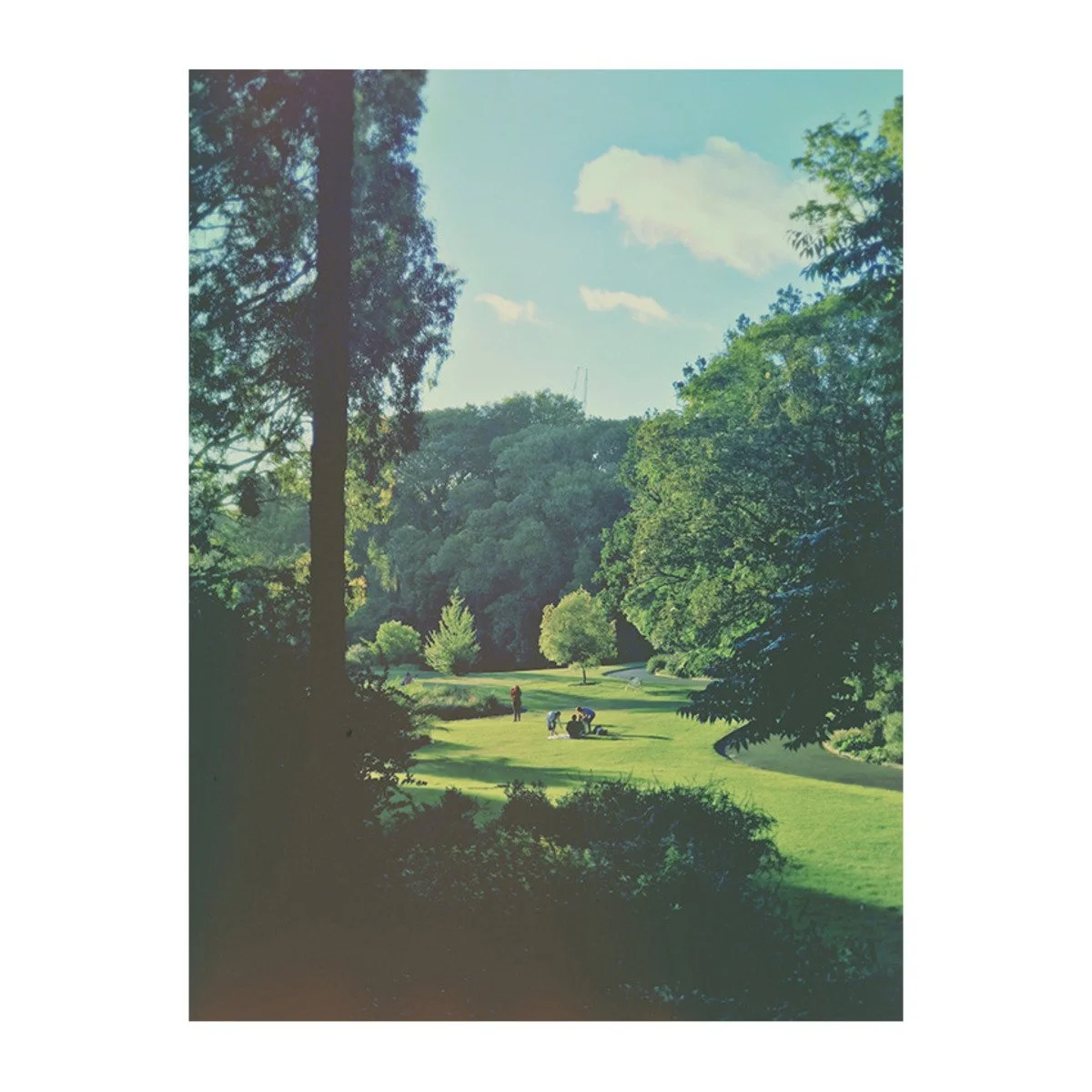 Day 23: Strangers (Copy)