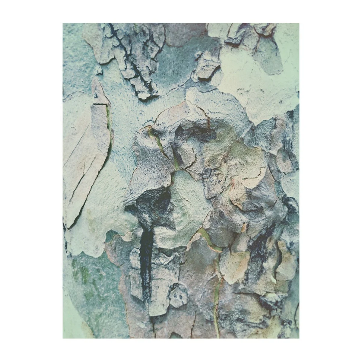 Day 12: Texture (Copy)