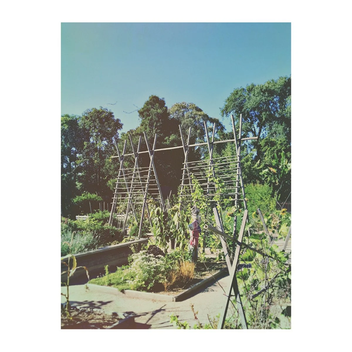 Day 2: Nature (Copy)
