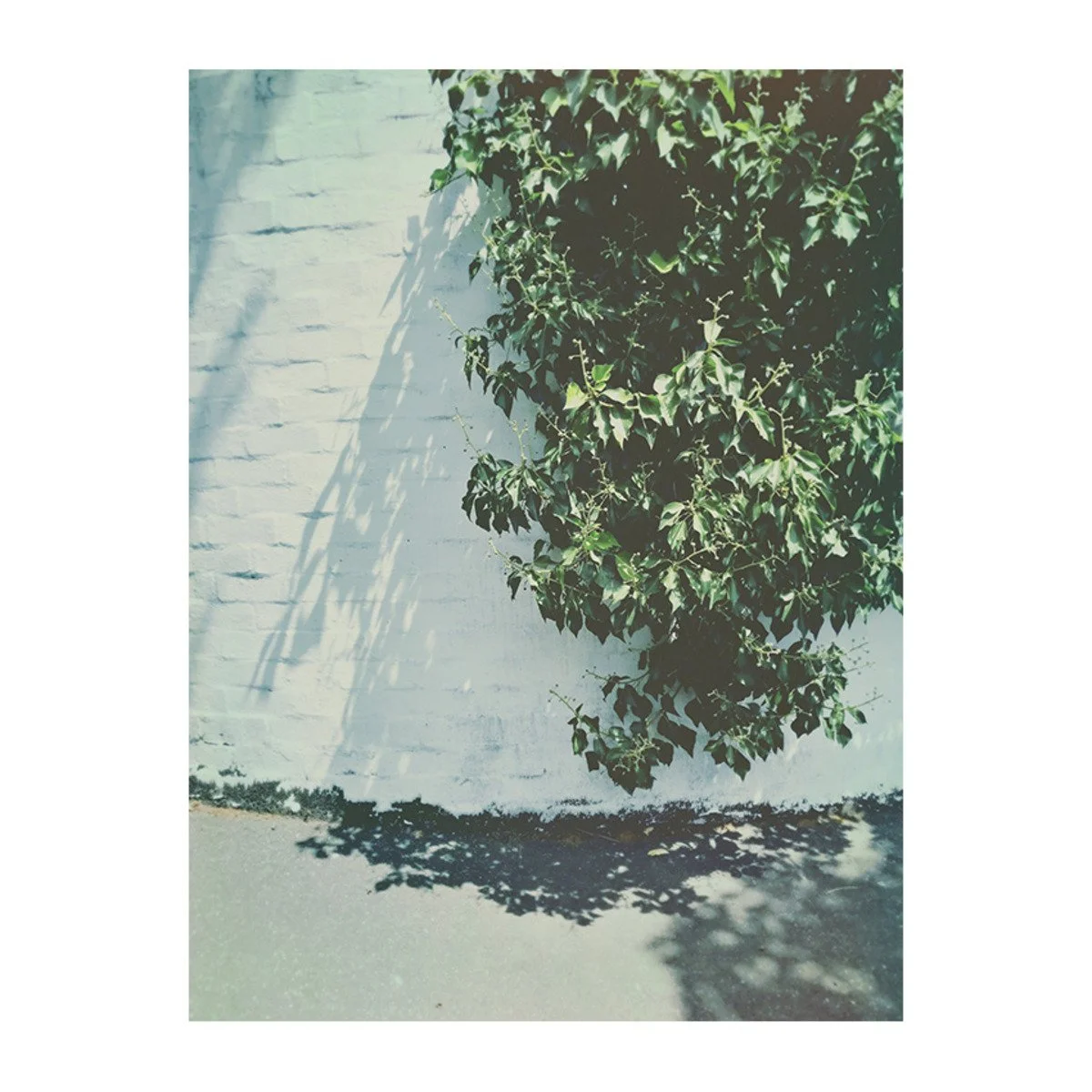 Day 27: Shadows (Copy)